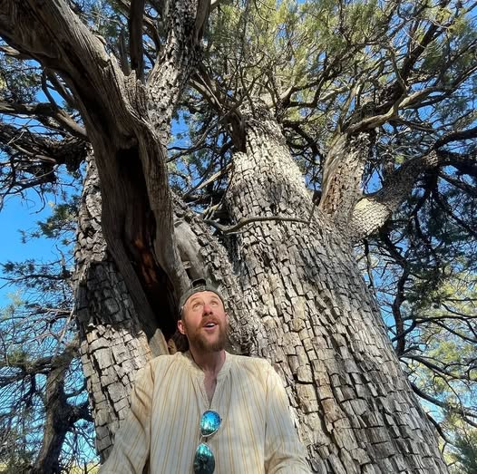 Luca Redbeard under tree